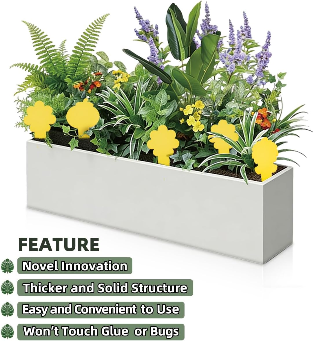 Sticky Yellow Fungus Gnat Traps, Easier to Use, No Touching Glue Or Bugs, Targets Species for Gnat, Fruit Fly & Pests, Thoughtfully Designed, High Capture Rate, Kid & Pet Safe, 36 Traps