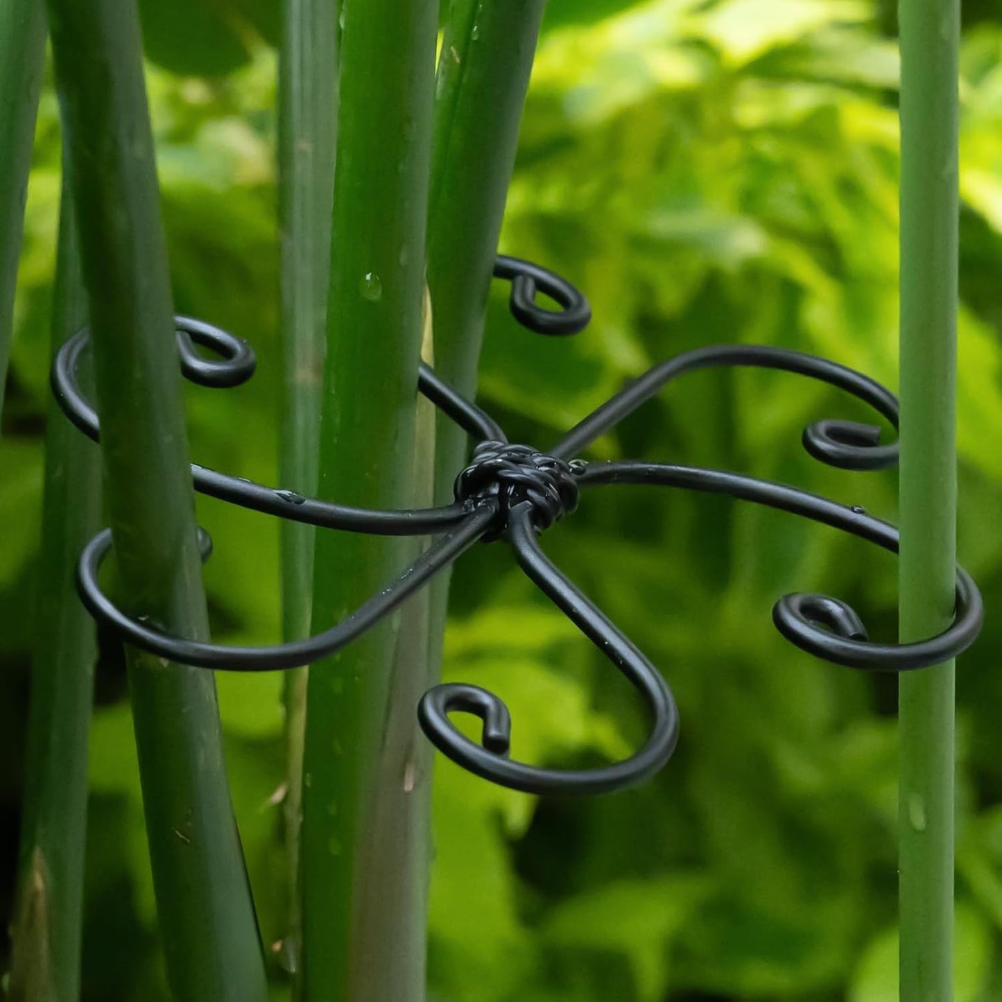 Yohsnor Monstera Plant Stem Support System - 5 Piece Set (5.5x4.7in) | Durable Plant Support Stakes for Climbing Plants & Fishbone Cactus | Ideal Leaf Stabilizer for Indoor Plants & Monstera Care