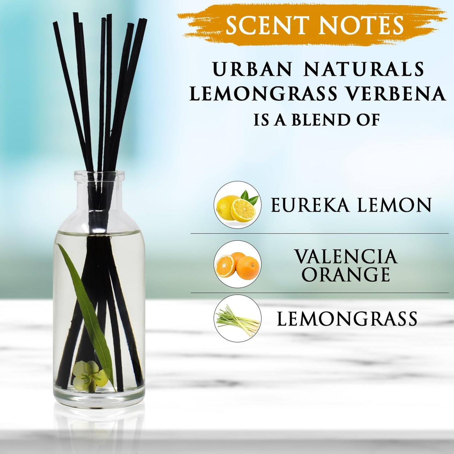 Urban Naturals Smoked Vanilla Reed Diffuser Set with Vanilla Bean, Sandalwood & Leather | Made in the USA - Colors B