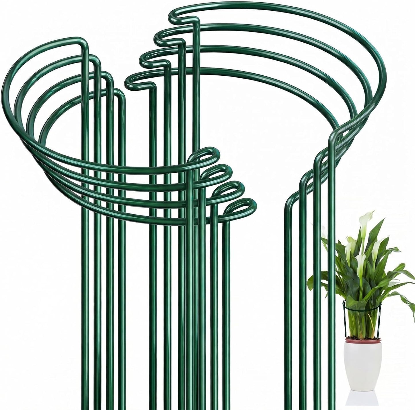 FEED GARDEN 8 Pack Peony Cages and Supports, Plant Support Stakes for Outdoor & Indoor Plants, 10" W x 16" H Half Round Garden Plant Support Rings for Peonies, Hydrangeas, Roses, Dahlias