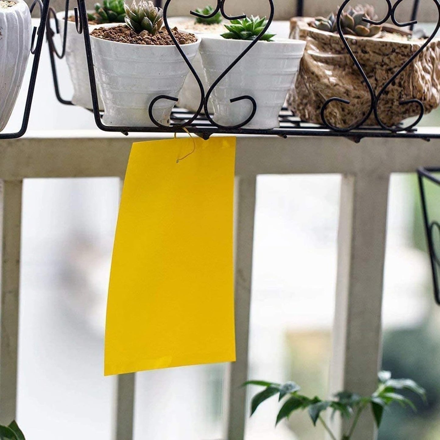 Faicuk Yellow Dual-Sided Sticky Fly Traps for Plant Insect Like Aphids, Fungus Gnats, Leaf Miners and White Flies (30 Pack)