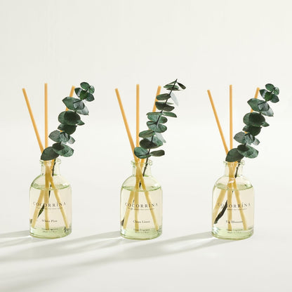 COCORRÍNA Eucalyptus Reed Diffuser Set of 3 - Eucalyptus & Moss, Clean Linen, Ocean Mist Scents, 1.7 fl oz Each, Total 5.1 oz, Scented Oil Diffusers for Home & Office