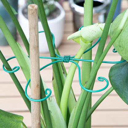 Yohsnor Monstera Plant Stem Support System - 5 Piece Set (5.5x4.7in) | Durable Plant Support Stakes for Climbing Plants & Fishbone Cactus | Ideal Leaf Stabilizer for Indoor Plants & Monstera Care