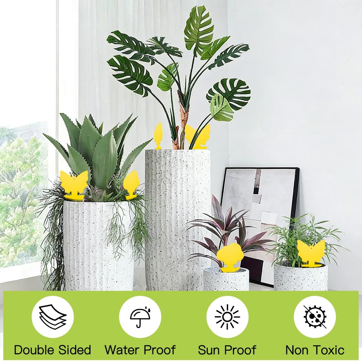 36 Pcs Sticky Traps for Fungus Gnat, Fruit Fly, Whitefly, Yellow | Indoor/Outdoor Use, For Plants & Kitchen, High-End Glue, Insect Catcher