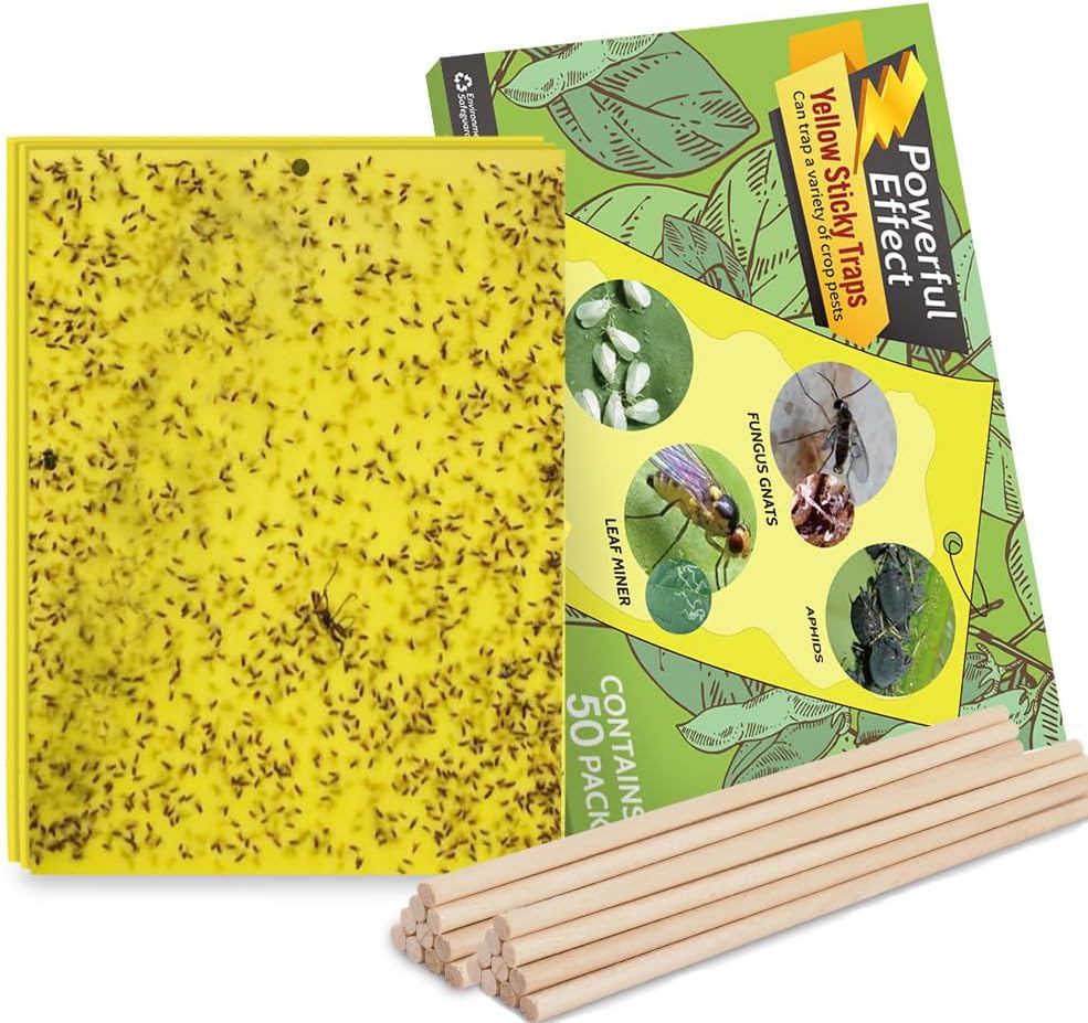 Kensizer 10-Pack Fruit Fly Trap, Yellow Sticky Gnat Trap Killer for Indoor/Outdoor Flying Plant Insect Like Fungus Gnat, Whiteflies, Aphids, Leaf Miners - 6x8 in, Twist Ties Included