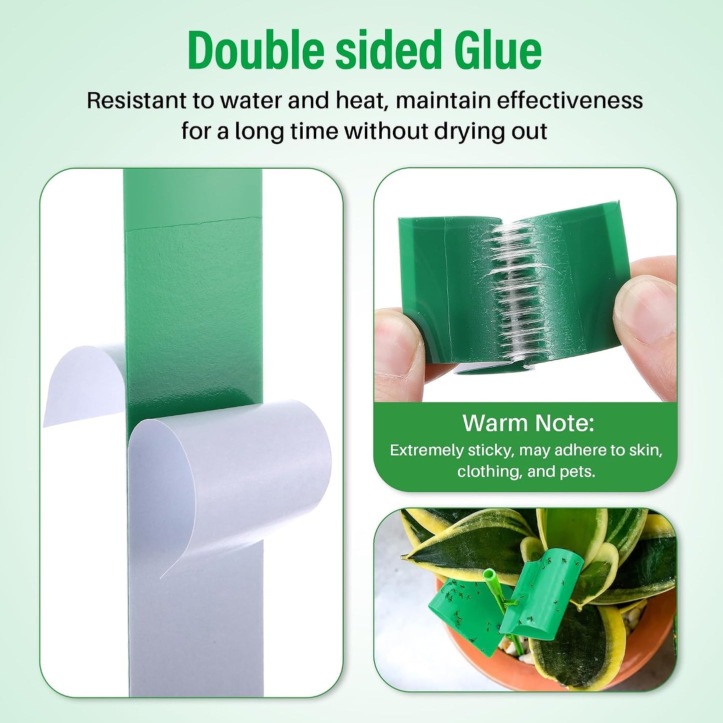 100 Pcs Gnat Sticky Traps for Plants, Sticky Traps for Gnats with 20 Stakes to Control, Aphids, Plant Bug, Mosquito Bits and Whiteflies(Green)