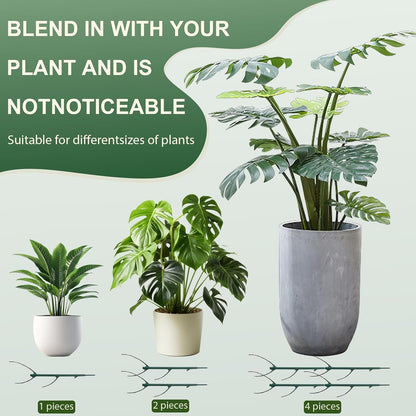 Upgrade Stackable Monstera Plant Support,2026 New Durable Garden Plant Support Stakes for Indoor Outdoor Potted Plants,Garden Accessories Plant Sticks for Vine Training Stem Stabilization (5, Green)