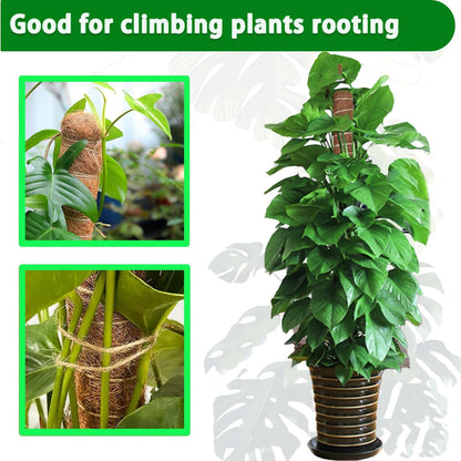 Moss Pole, 4Pack 21 Inch Plant Support Stakes for Indoor Plants, Monstera Plant Support Stakes, 69 Inch Tall Coir Plant Pole Sticks for Potted Plants, Pothos, Philodendron, Climbing Plants Accessories