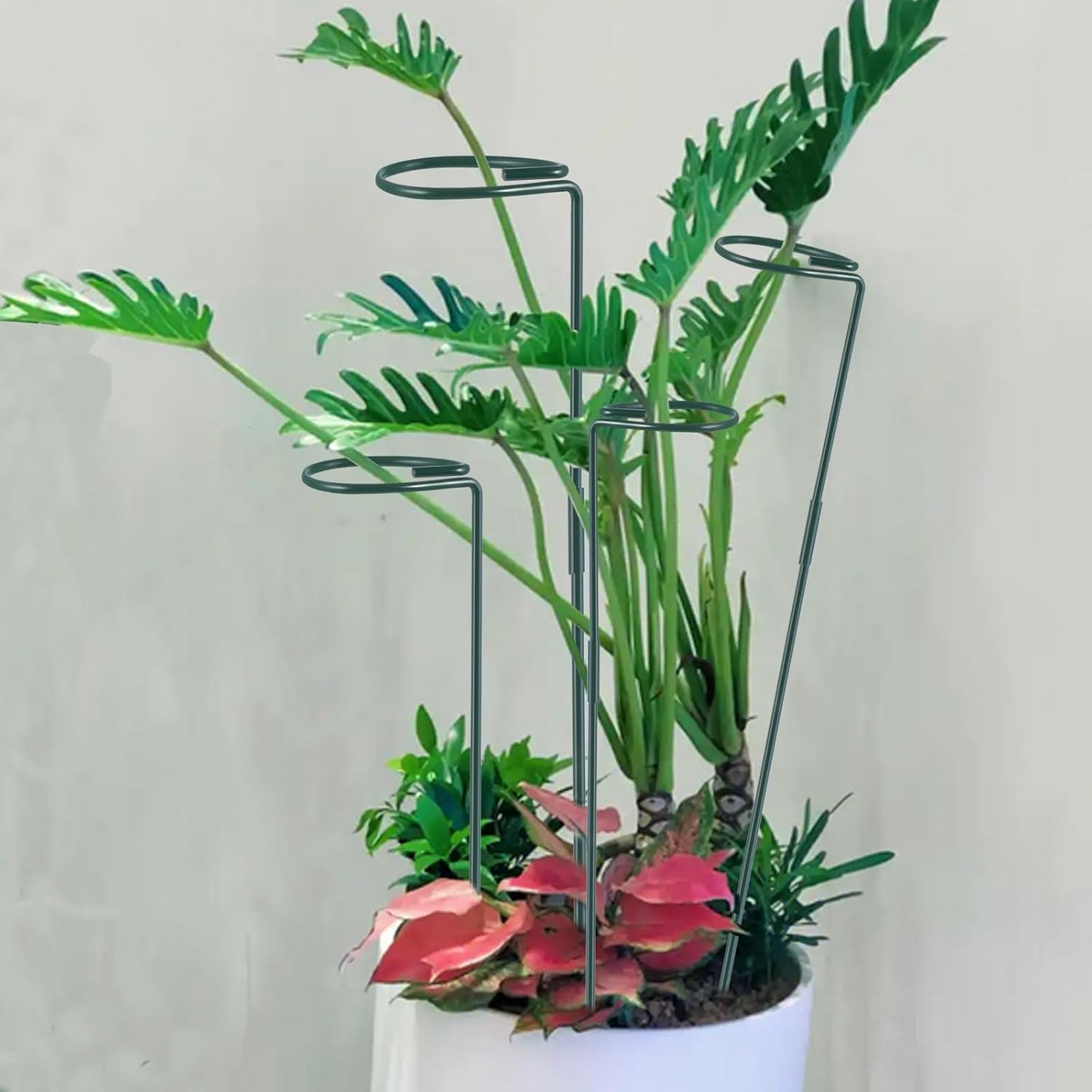 Plant Stake Support - 6 Pack, Garden Single Stem Support Stake Plant Cage Support Rings, Single Stem Plant Support Stakes, Plant Twist Ties, for Flowers Amaryllis Tomatoes Peony Lily Rose (15.9 inch)