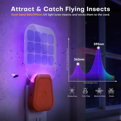 Fruit Fly Traps,Plug in Fly Trap with UV Light & Glue Cards,Fly Trap Indoors for Gnats, Mosquitoes,Moths & More,Insect Trapper for House Kitchen Garage, 1 Pack & 3 Refills