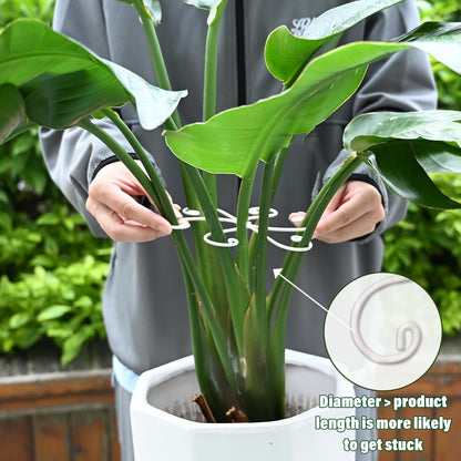 Yohsnor Monstera Plant Stem Support System - 5 Piece Set (5.5x4.7in) | Durable Plant Support Stakes for Climbing Plants & Fishbone Cactus | Ideal Leaf Stabilizer for Indoor Plants & Monstera Care