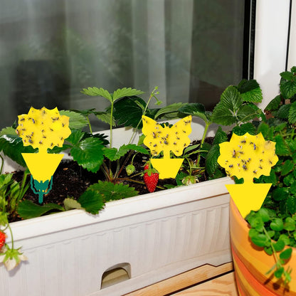 36 Pack Fruit Fly Traps for Indoors, Gnat Traps for House Indoor, Sticky Traps Fungus Gnats Killer for Mosquito and Flying Insects, Bug Pest Insect Catcher Killer for Houseplant