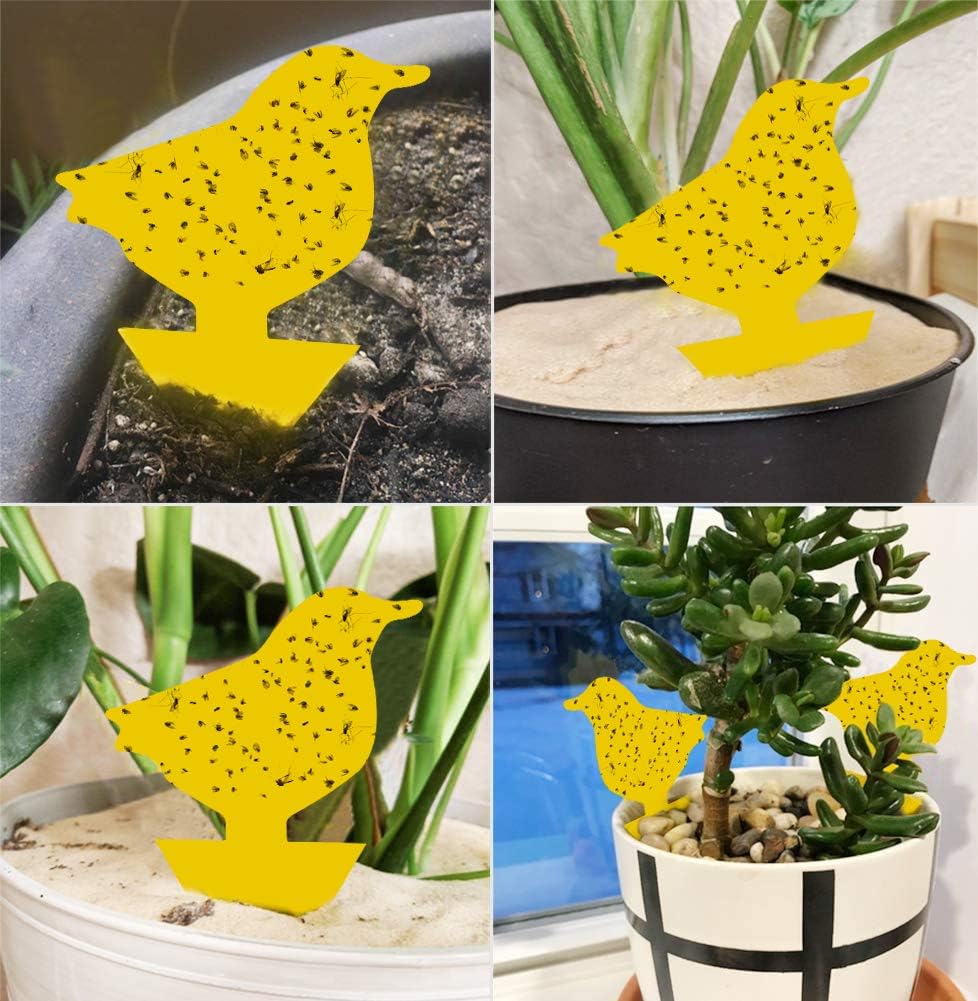 8 Pack Disposable Wasp Traps Outdoor Hanging Carpenter Bee Traps for Outside Yellow Jackets Trap Hornet Trap Wasp Catcher Bug Flies Garden