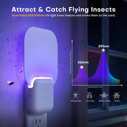 Fruit Fly Traps for Indoors 2-Pack: Upgraded Flying Insect Trap with 6 Refills - Bug Catcher for Gnat Mosquito Moths - Suitable for House Home Kitchen