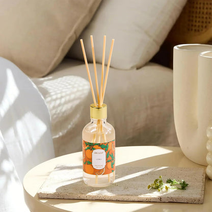 Airkeep Reed Diffuser Oil Set with Reed Sticks,Vanilla Aromatherapy Oil Scent Diffuser for Home Office Bathroom Decoration Perfume and Gifts 3.38 oz/100ml