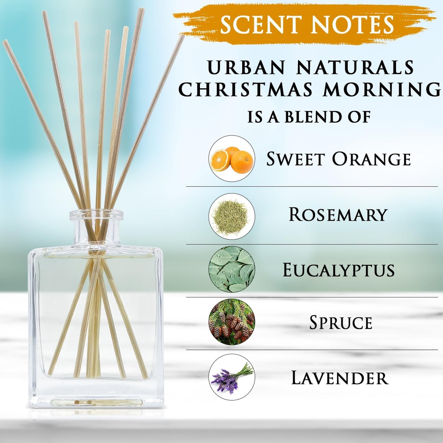 Urban Naturals Smoked Vanilla Reed Diffuser Set with Vanilla Bean, Sandalwood & Leather – 5 Ounce Sleek Black Rectangular Refillable Glass Bottle – Made in the USA
