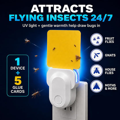Flying Insect Trap Indoor Plug in, UV Light Fly Trap for Home | with 10 Sticky Glue Cards to Catch Fruit Flies, Gnats & Moths, Quiet Odor-Free Bug Catcher for Kitchen, Bedroom,Living Spaces