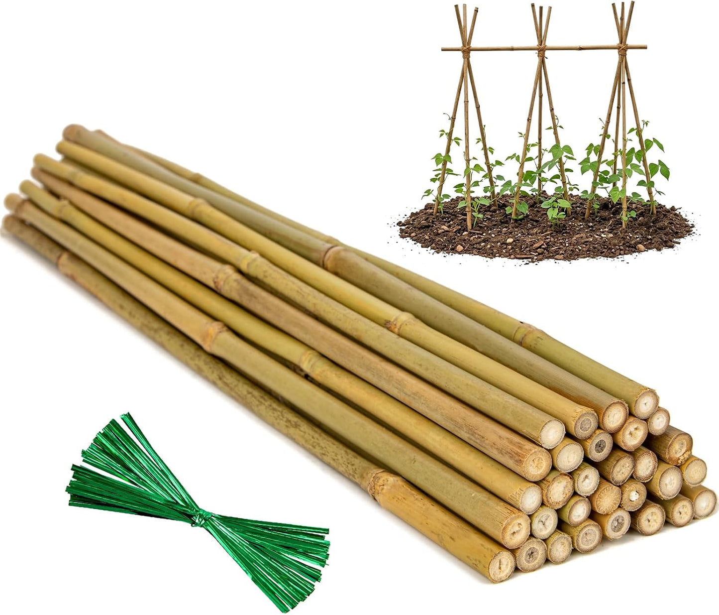 Plant Stakes Natural Bamboo Sticks - 30 Pcs Bamboo Garden Stakes for Plants 4.8 FT Plant Support Sticks with Twist Ties for Tomatoes Beans Flowers Indoor Outdoor Potted Climbing Plants