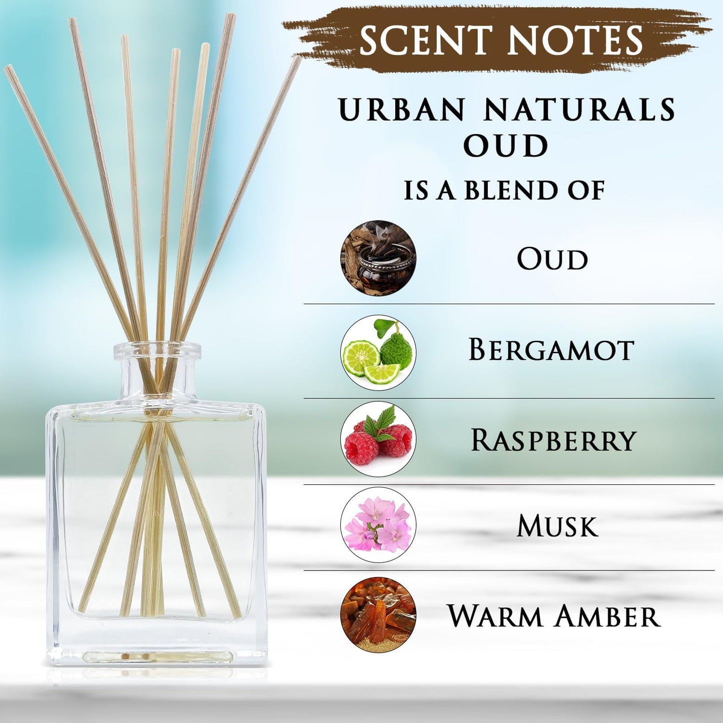 Urban Naturals Smoked Vanilla Reed Diffuser Set with Vanilla Bean, Sandalwood & Leather – 5 Ounce Sleek Black Rectangular Refillable Glass Bottle – Made in the USA