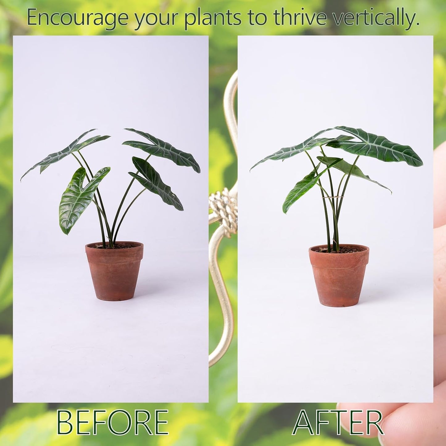 5PCS Monstera Plant Stem Support Stakes - 5.5 * 5.5IN Metal Supports for Monstera and Fishbone Cactus, Sturdy Frame, Easy Installation, Flexible Protection for Healthy Growth Indoors