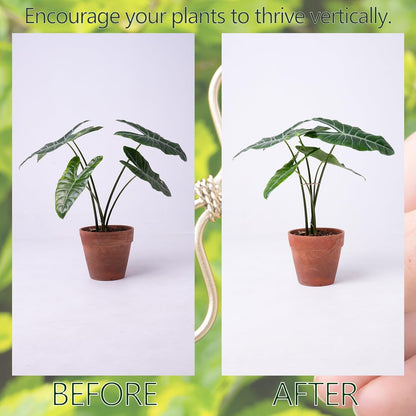 5PCS Monstera Plant Stem Support Stakes - 5.5 * 5.5IN Metal Supports for Monstera and Fishbone Cactus, Sturdy Frame, Easy Installation, Flexible Protection for Healthy Growth Indoors