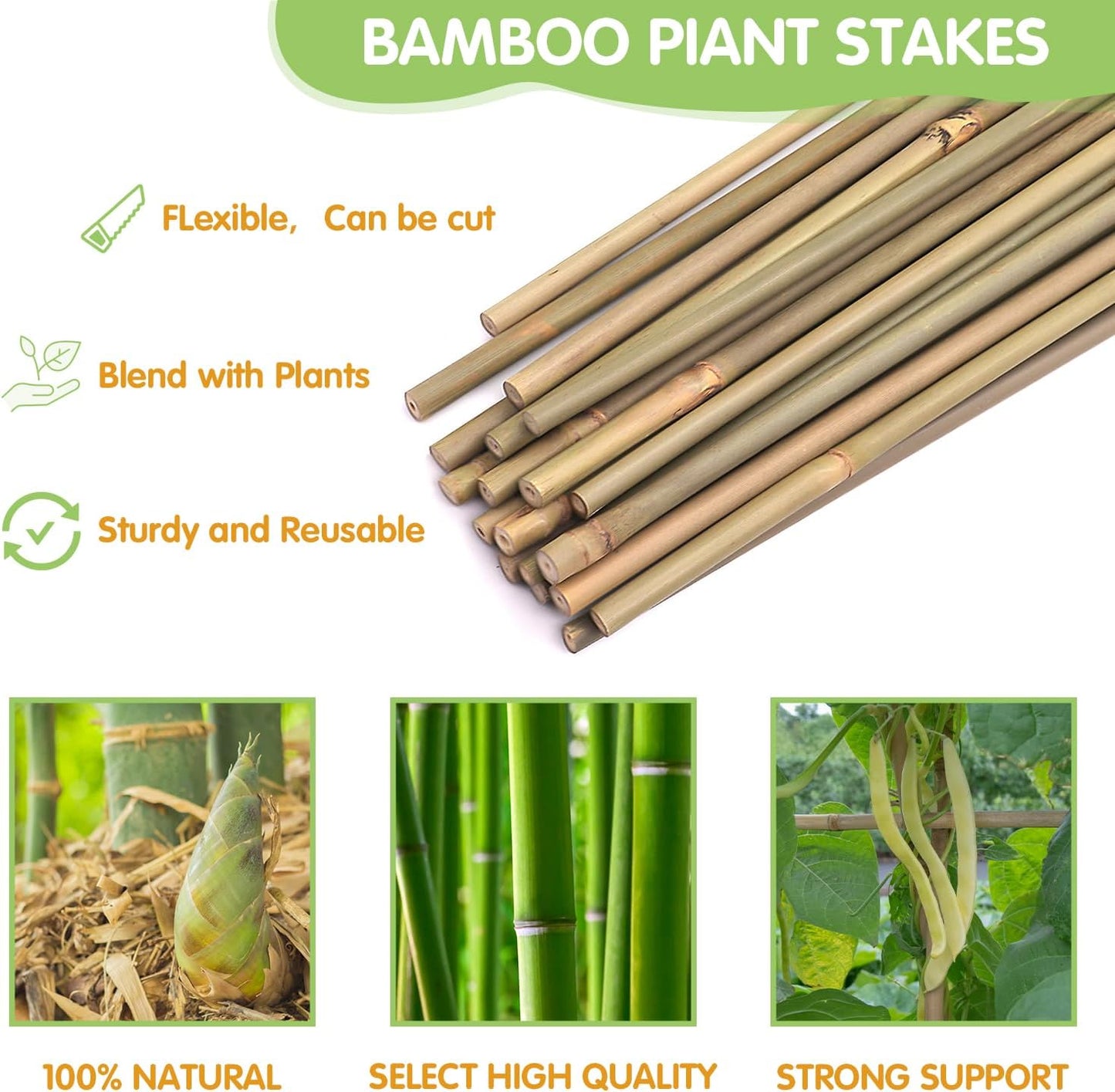 GAGINANG Plant Stakes Natural Garden Bamboo Sticks for Indoor and Outdoor, 20pcs for Tomatoes, Beans, Potted Plants - 18 inches
