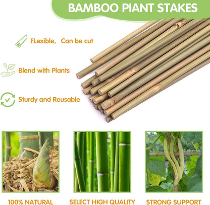 GAGINANG Plant Stakes Natural Garden Bamboo Sticks for Indoor and Outdoor, 20pcs for Tomatoes, Beans, Potted Plants - 18 inches