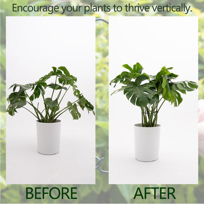 Yohsnor Monstera Plant Stem Support System - 5 Piece Set (5.5x4.7in) | Durable Plant Support Stakes for Climbing Plants & Fishbone Cactus | Ideal Leaf Stabilizer for Indoor Plants & Monstera Care