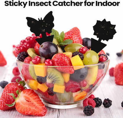 200 Sheets Fruit Fly Sticky Traps for Fruit Fly Gnat Trap for House Indoors Sticky Traps Catcher for Gnats Fungus Gnats Mosquito Catcher for Kitchen Outdoor Plants(Yellow)