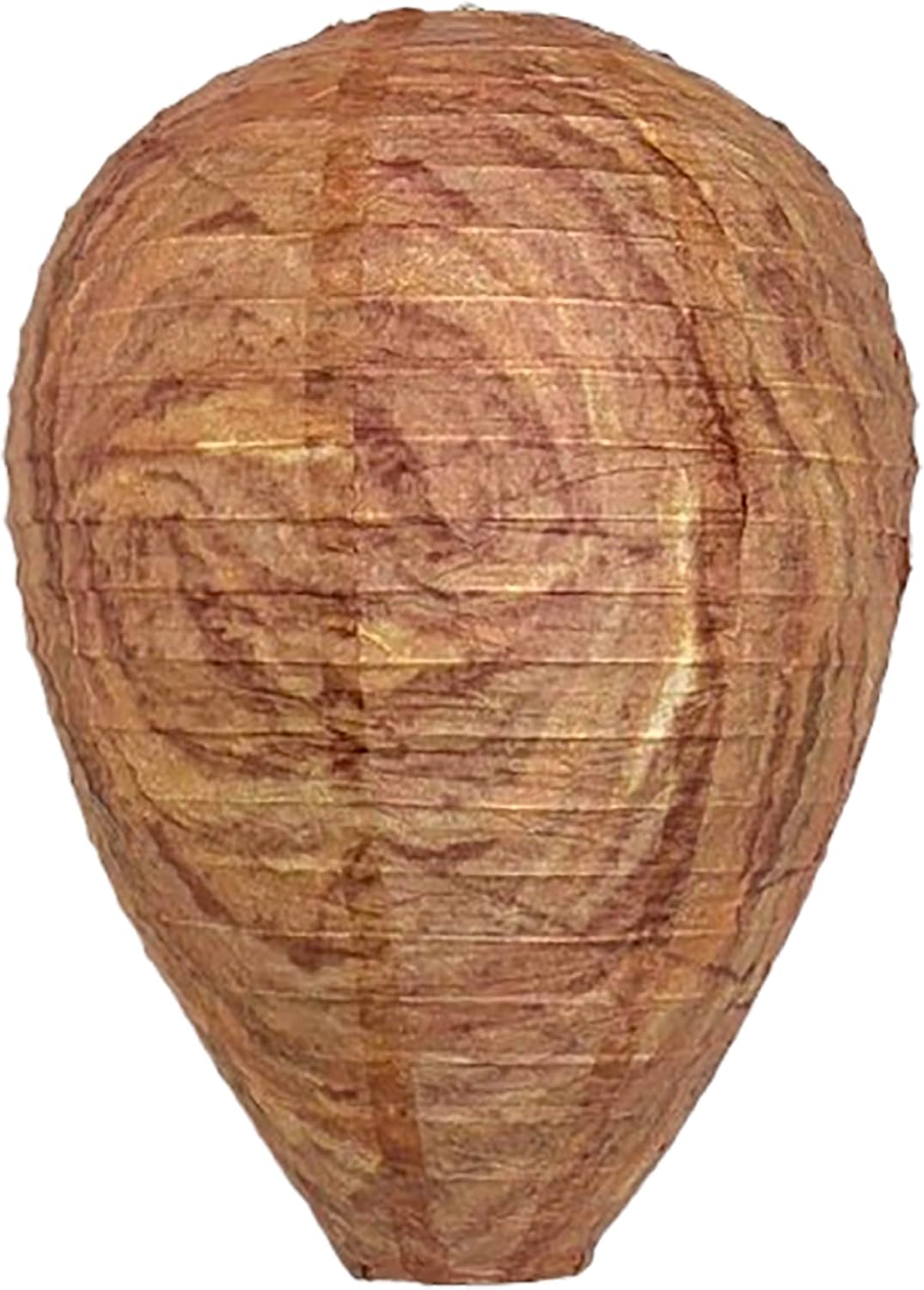PESTEZE USA Premium Hanging Wasp Nest Decoy [11.8 x 8.6 Inch] — Faux Hornet Hive Deterrent Helps Deter Wasps, Hornets& Yellow Jacket Species Outdoors by Simulating Rival Hives Without Harsh Chemicals