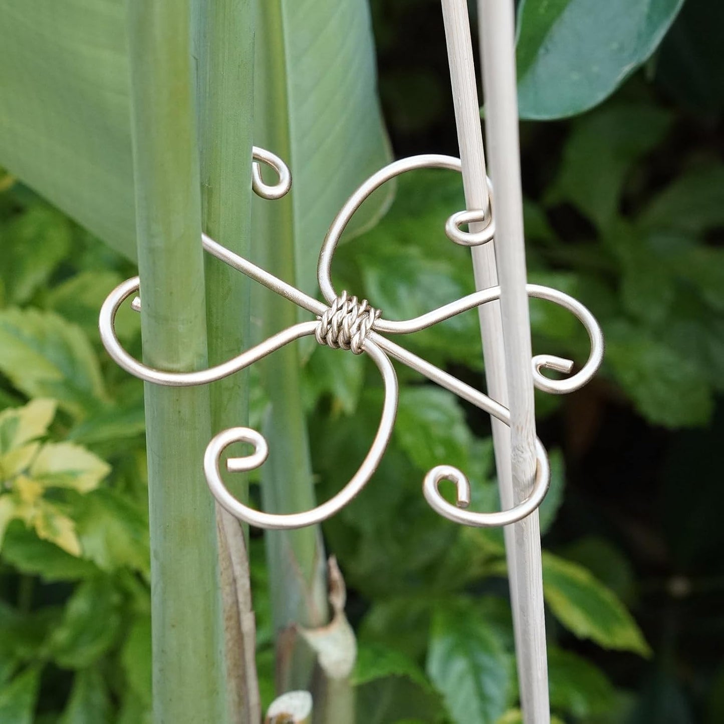 Yohsnor Monstera Plant Stem Support System - 5 Piece Set (5.5x4.7in) | Durable Plant Support Stakes for Climbing Plants & Fishbone Cactus | Ideal Leaf Stabilizer for Indoor Plants & Monstera Care