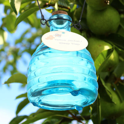 2 Pieces Glass Wasp Trap Outdoor Hanging Reusable Wasp Traps with Steel Hooks Yellow Jacket Catchers Trap for Outside Garden Farm Courtyard Garden, Blue