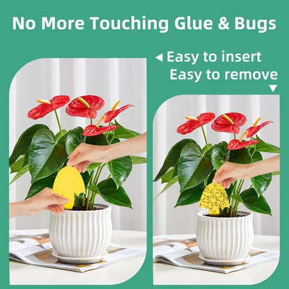 72 Pcs Classic Sticky Traps for Fungus Gnat (Plants), Flying Insect, Whitefly and Fly, Yellow Sticky Insect Catcher Traps for Indoor/Outdoor, Kitchen, and Plants, High-End Glue, Non-Toxic, 4 Shapes