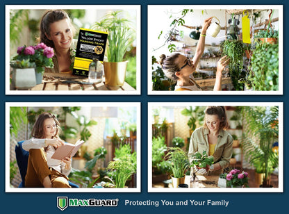 MaxGuard (20 Pack) Yellow Sticky Hanging Traps - Catch and Kill Fungus Gnats, Whiteflies, Mosquitos, Aphids, Leaf Miners, Flying Insect Catcher Glue Trappers for Indoor or Outdoor