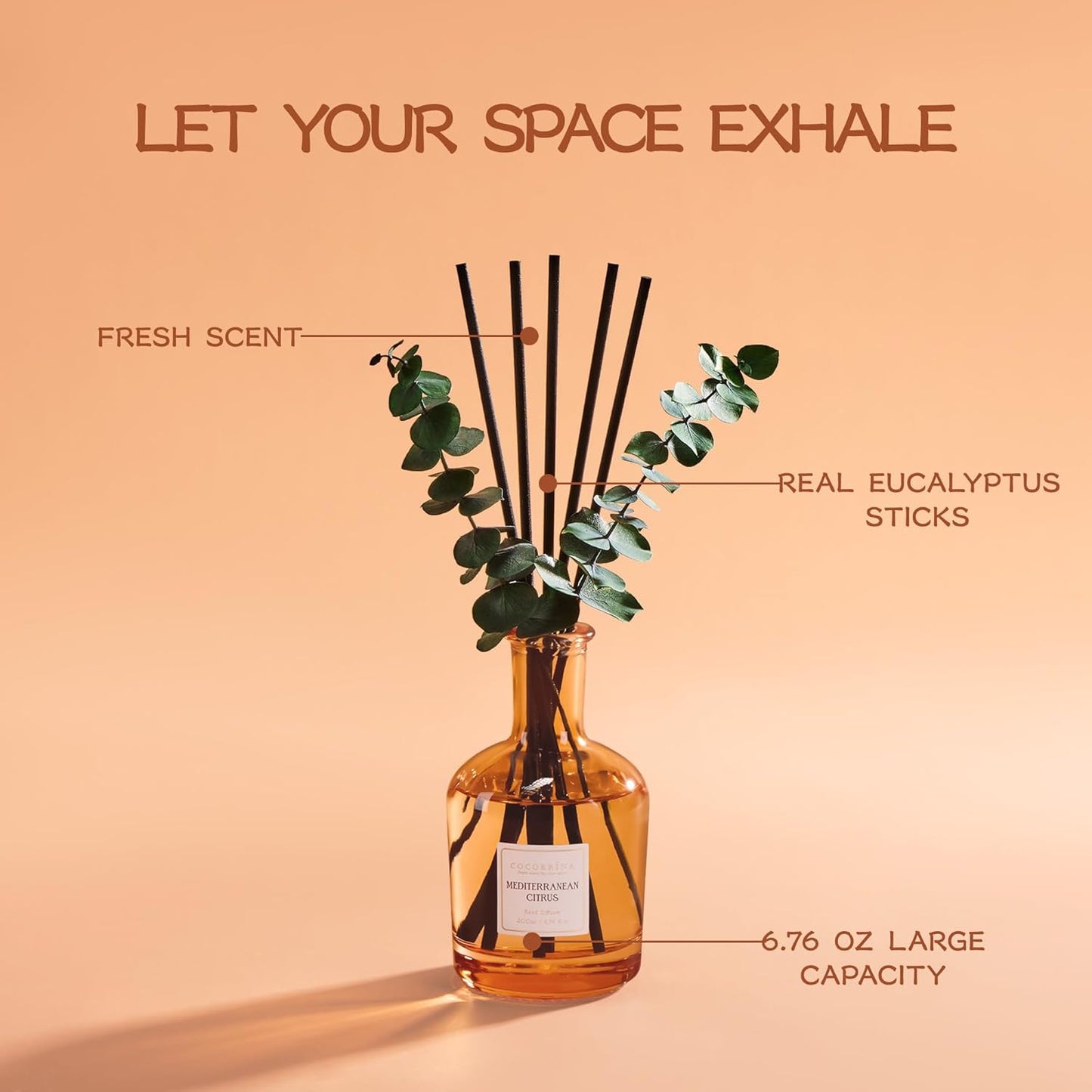 COCORRÍNA Wild Mint & Eucalyptus Reed Diffuser – 6.76 oz Essential Oil with 8 Reeds & Real Eucalyptus Sticks, Home Fragrance for Bedroom or Bathroom Décor