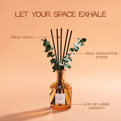COCORRÍNA Wild Mint & Eucalyptus Reed Diffuser – 6.76 oz Essential Oil with 8 Reeds & Real Eucalyptus Sticks, Home Fragrance for Bedroom or Bathroom Décor
