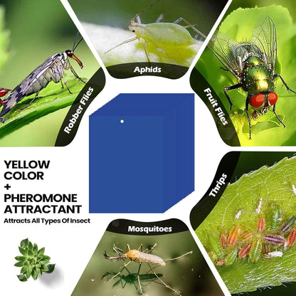 Qualirey 150 Pcs 6x8 Inch Yellow Sticky Traps for Gnats, Dual-Sided Sticky Gnat Traps for Indoor Outdoor Plants, Pest Control for Fungus Gnats, Fruit Flies, Whiteflies – Bulk Pack with Twist Ties