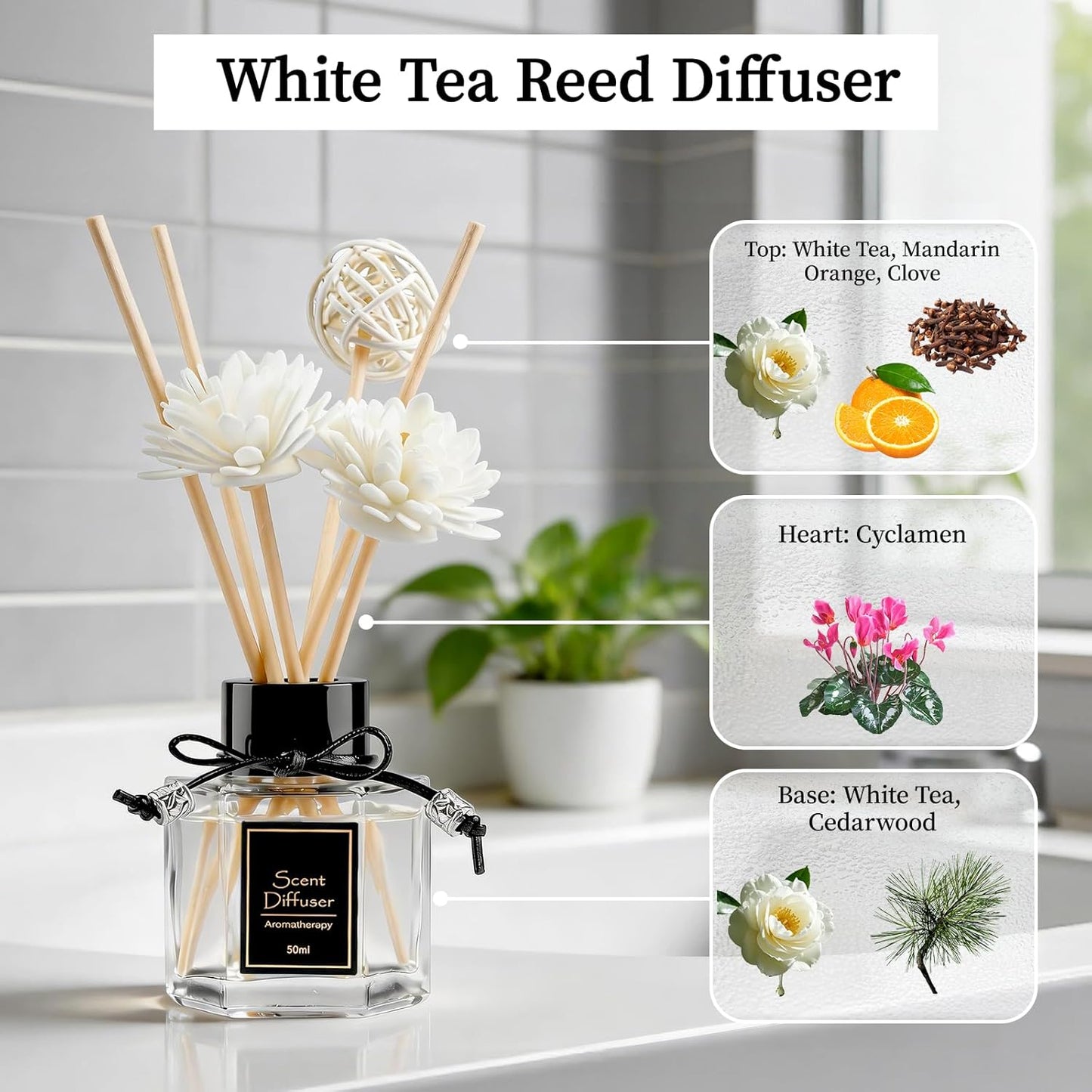TonJin Reed Diffuser Set of 2 | 1.7 fl oz Natural Home Fragrance with Sticks | Long-Lasting Scented Sticks for Bathroom, Living Room & Bedroom | Non-Toxic Essential Oil Air Freshener Shangri-La