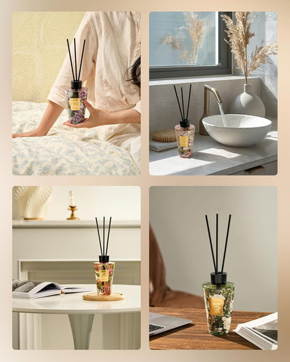 M&SENSE Reed Diffuser Set, Jasmine Sandalwood Scented 6.3 fl oz Natural Essential Oil Diffusers with Sticks, Non-Toxic Organic Air Freshener, Long-Lasting Fragrance Oils for Home Bathroom Living Room