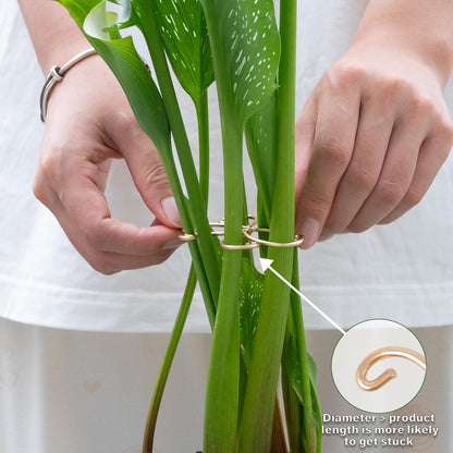 Yohsnor Monstera Plant Stem Support System - 5 Piece Set (5.5x4.7in) | Durable Plant Support Stakes for Climbing Plants & Fishbone Cactus | Ideal Leaf Stabilizer for Indoor Plants & Monstera Care