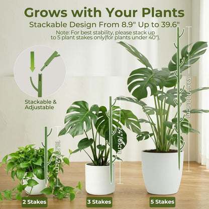 Heavy-Duty Monstera Plant Support Stakes - 10-Piece Stackable Sticks | For Climbing Stem up to 39.6" Tall - 0.55" Thick Indoor Plant Poles & Outdoor Garden Structures