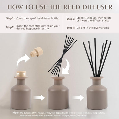 Reed Diffuser Set,Ocean Mist & Sea Salt Fragrance,100ml(3.38 fl.oz) with 6 Reed Sticks,Long-Lasting Oil Diffuser for Home,Office,Bathroom,Flame Free