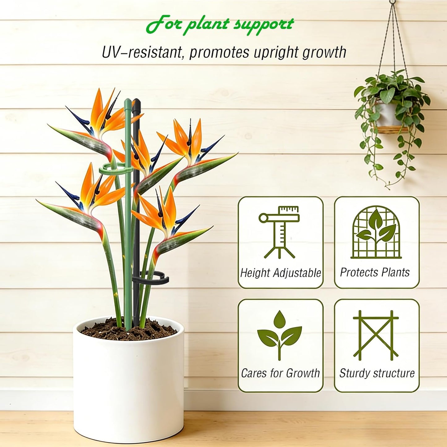 Plant Stakes for Indoor Plants, Height Adjustable Plant Stake with Clips, Durable Support Pole for Indoor Monstera, Orchid, Tomato & Potted Plants (13 Inches, 10 Green & 2 Black)