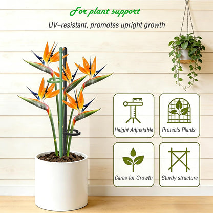 Plant Stakes for Indoor Plants, Height Adjustable Plant Stake with Clips, Durable Support Pole for Indoor Monstera, Orchid, Tomato & Potted Plants (13 Inches, 10 Green & 2 Black)