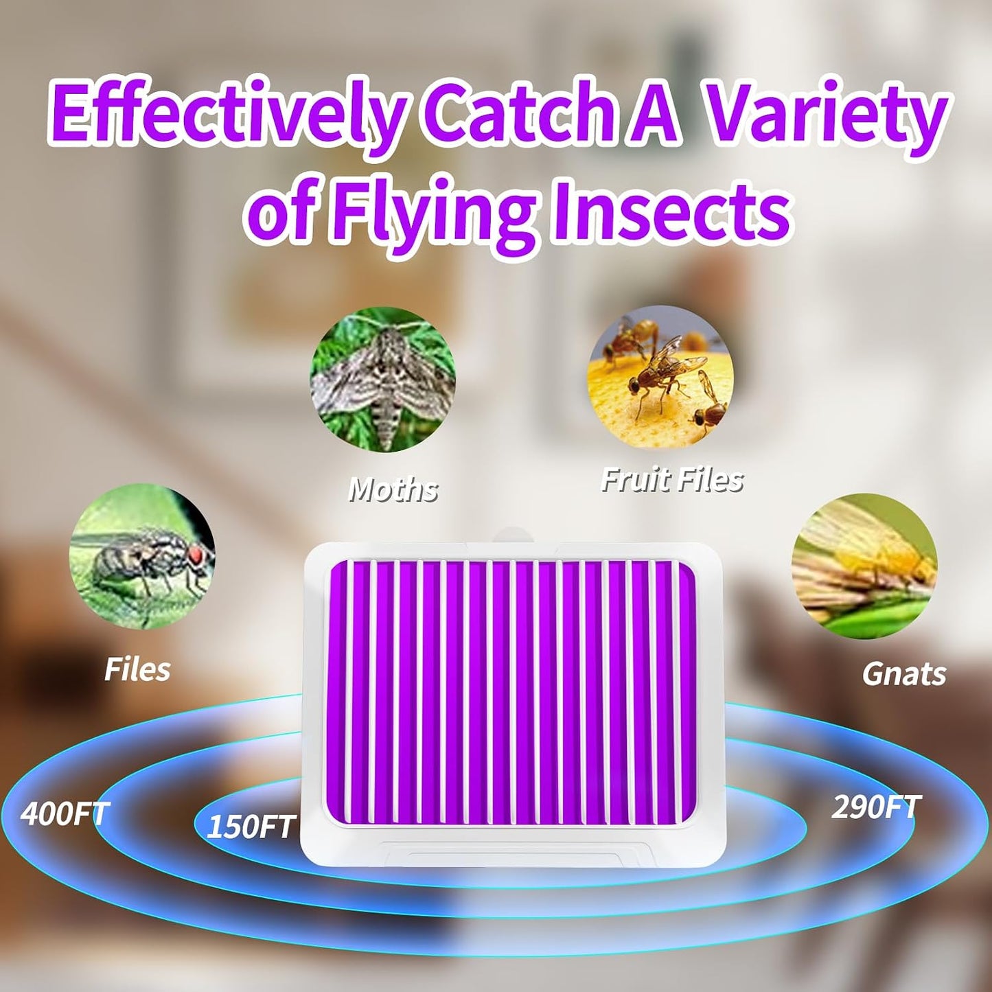 Fruit Fly Traps for Indoors - Indoor Fly Trap, Plug-in Bug Light Catcher with UV and Blue Light,Gnats, Mosquitoes, Flies, Moths,House Flies - Fly Traps Indoor for Home-400 Sq Ft of Protection