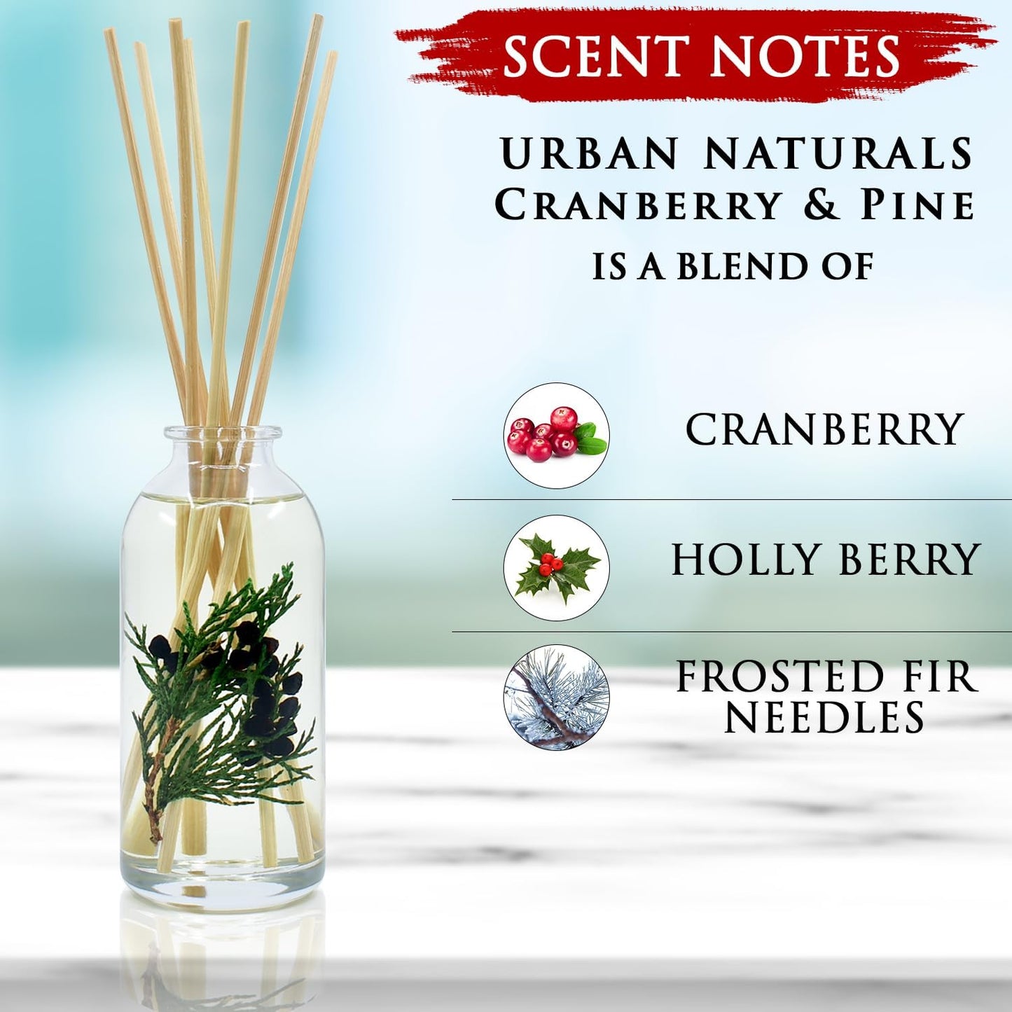 Urban Naturals Smoked Vanilla Reed Diffuser Set with Vanilla Bean, Sandalwood & Leather | Made in the USA - Colors C