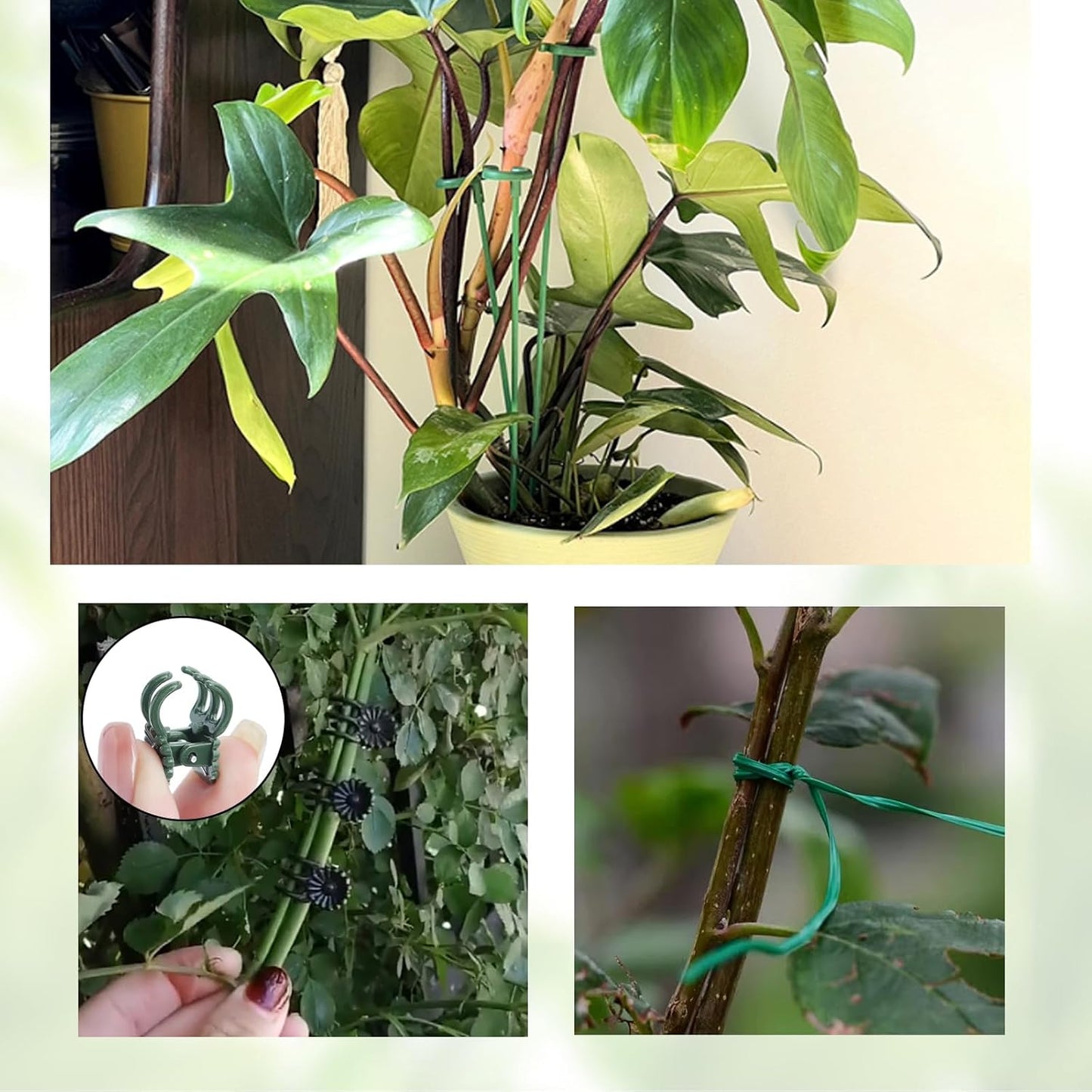 Pack of 30 Small Plant Stakes for Indoor Plants | 3 Size 6.7/10.7/14.6/ Inches Single Stem Plant Support Stakes for Phalaenopsis/Orchid Flower/Roses/Chrysanthemum/Succulent
