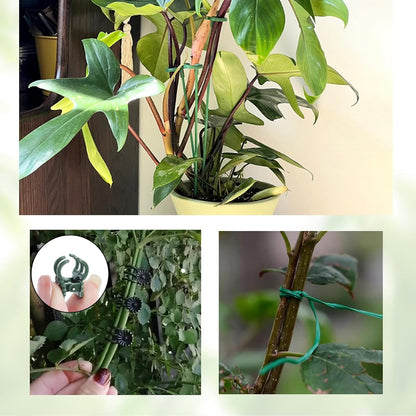 Pack of 30 Small Plant Stakes for Indoor Plants | 3 Size 6.7/10.7/14.6/ Inches Single Stem Plant Support Stakes for Phalaenopsis/Orchid Flower/Roses/Chrysanthemum/Succulent