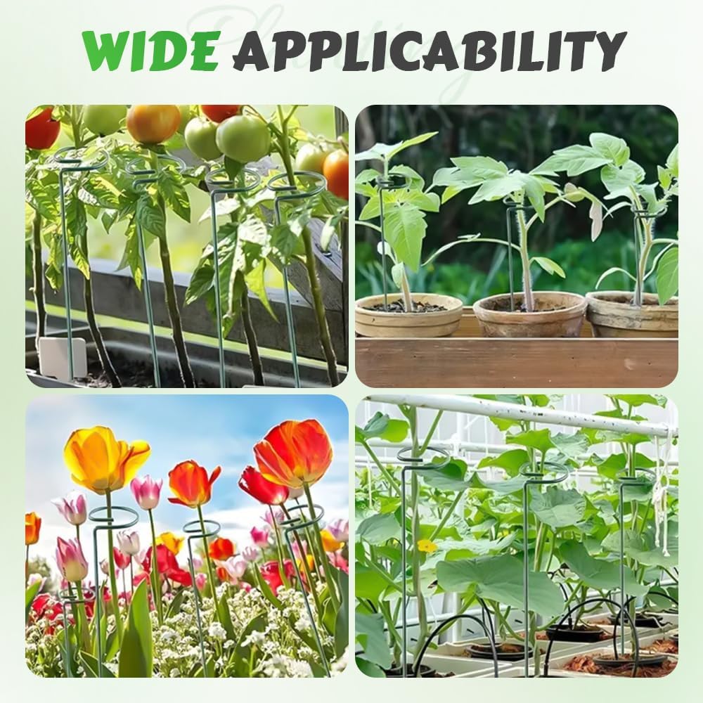 4/8/12 Pack Plant Stakes, 16/24/36 Inch Plant Support Stakes, Plant Sticks Support, Flower Stakes for Plants Peony, Tomato Seedling, Marigold, Amaryllis, Sapling, Coreopsis (16 Inch-4 Pack)