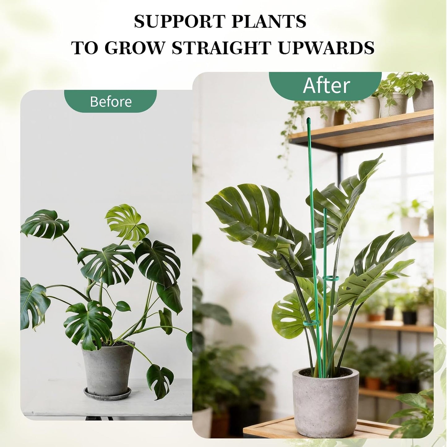 15" Plant Stackes for Indoor Plants, Adjustable Plant Support Stakes with Clips, Plant Sticks Support Tall for Indoor Orchid Monstera Tomato Potted Plants, Great Garden Stakes- 16pcs